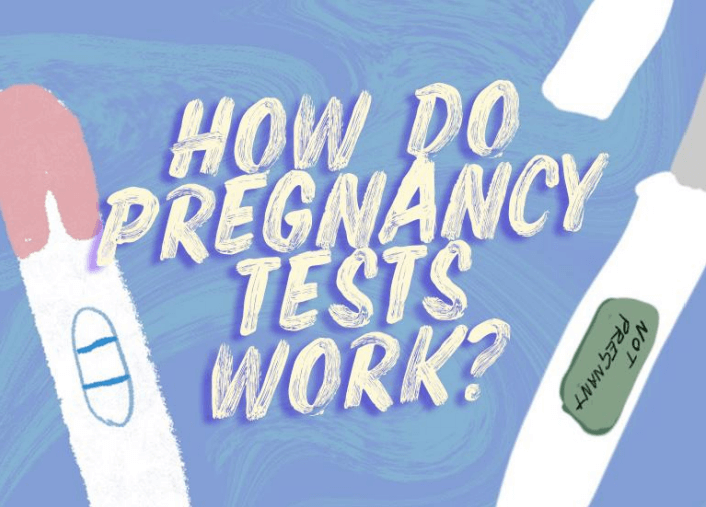 How Do Pregnancy Tests Work Ellaone Uk 