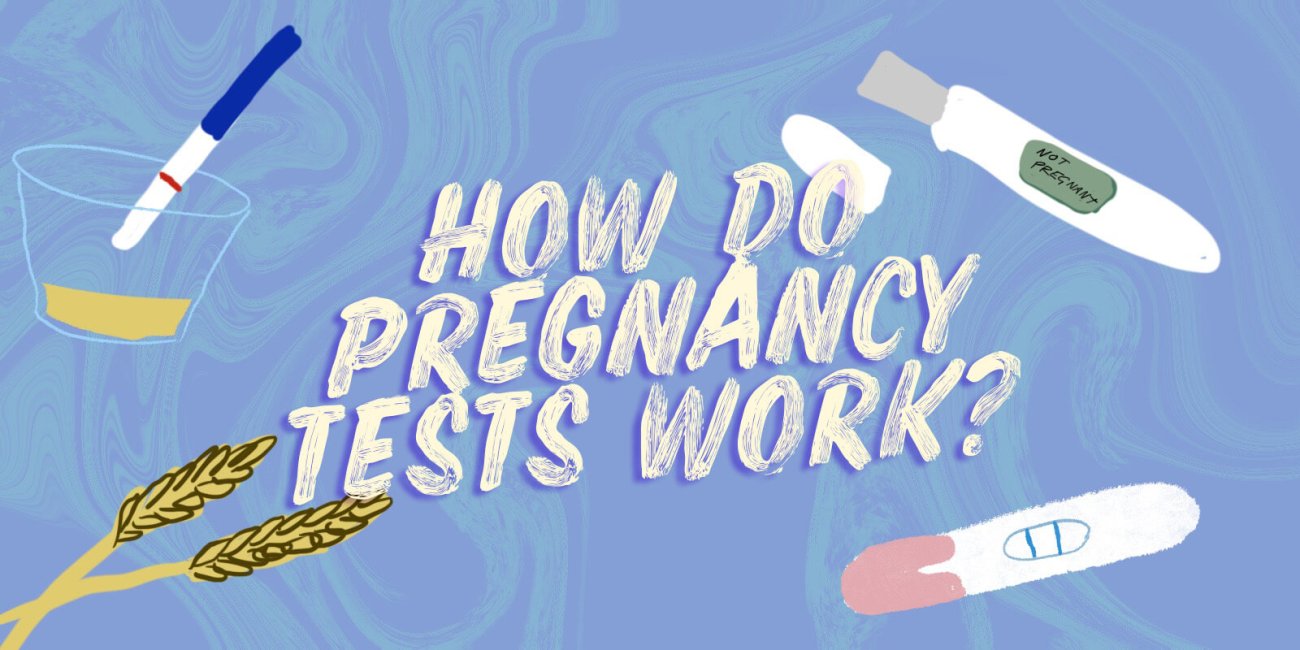 How Do Pregnancy Tests Work? - Ellaone UK